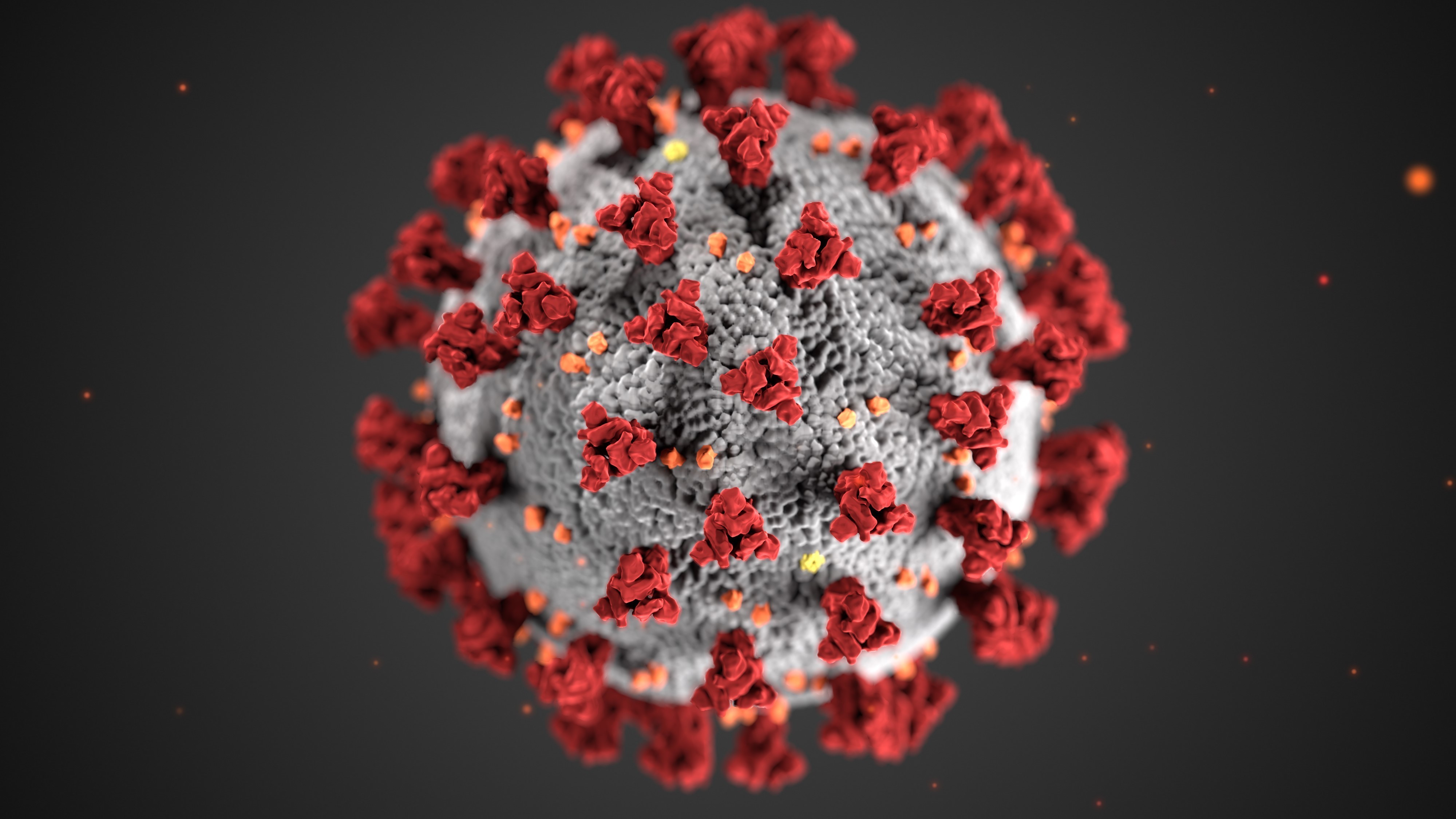 COVID-19 CORONAVIRUS